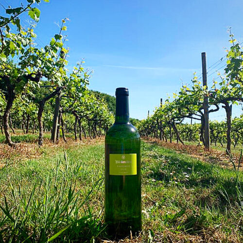 Biddenden Vineyards - Bacchus