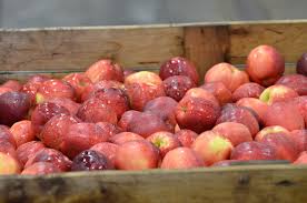 Apples 1kg