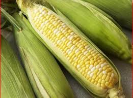 Corn on Cob