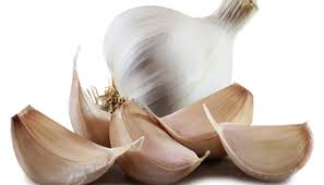Garlic - Farm White Bulb