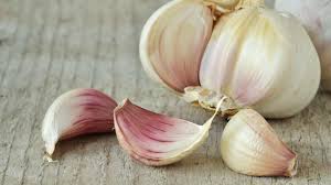 Garlic