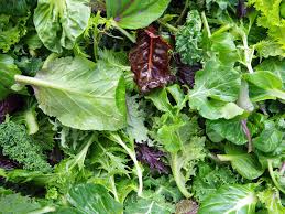 Salad Leaves 125g