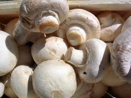 Mushrooms (250g)