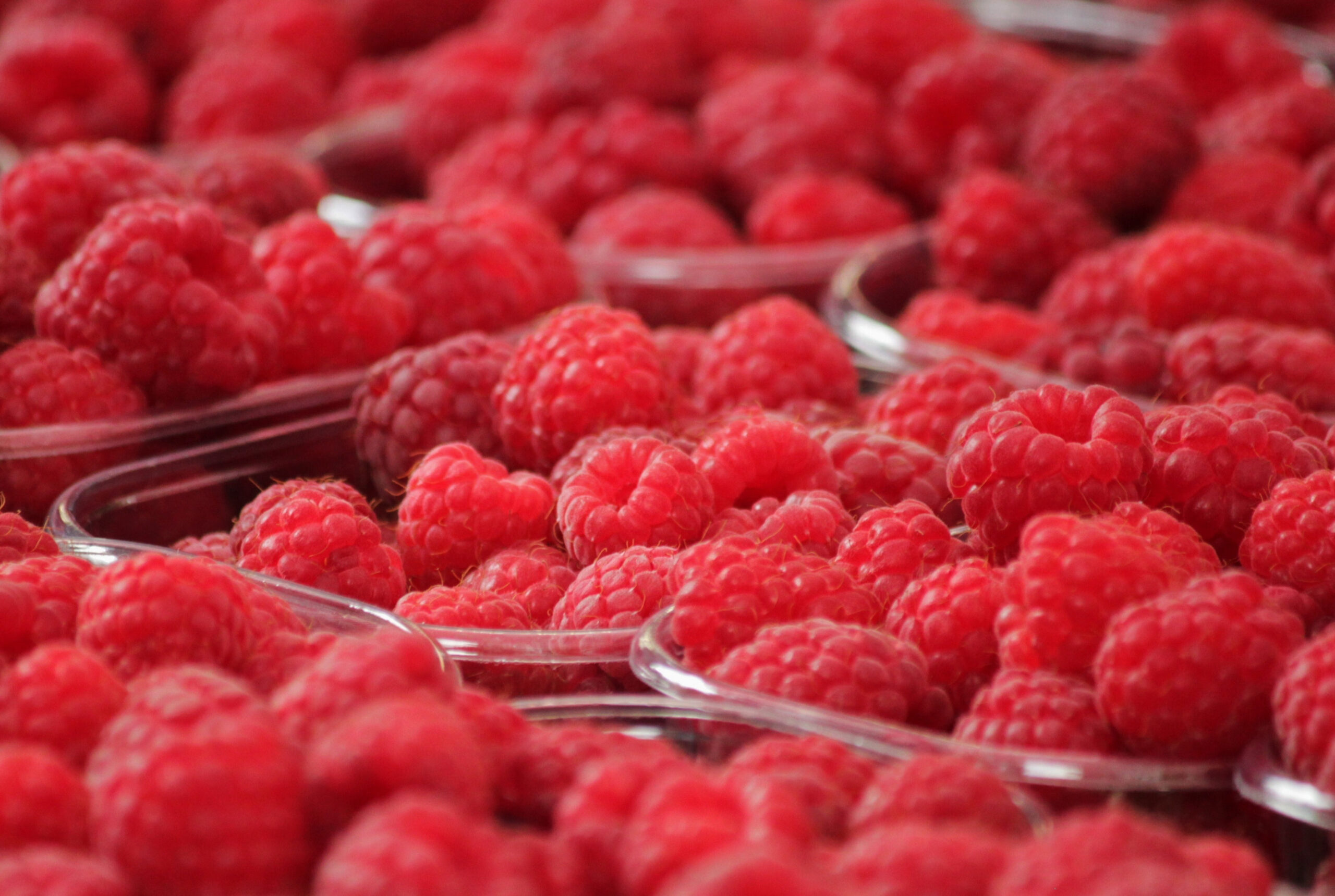 Pick Your Own Raspberries in Kent | Lower Ladysden Farm