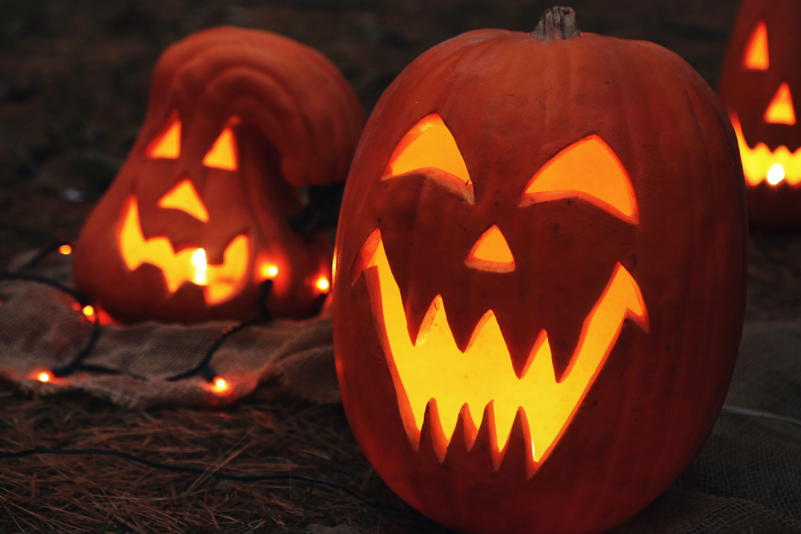 Pumpkin Nights | Lower Ladysden